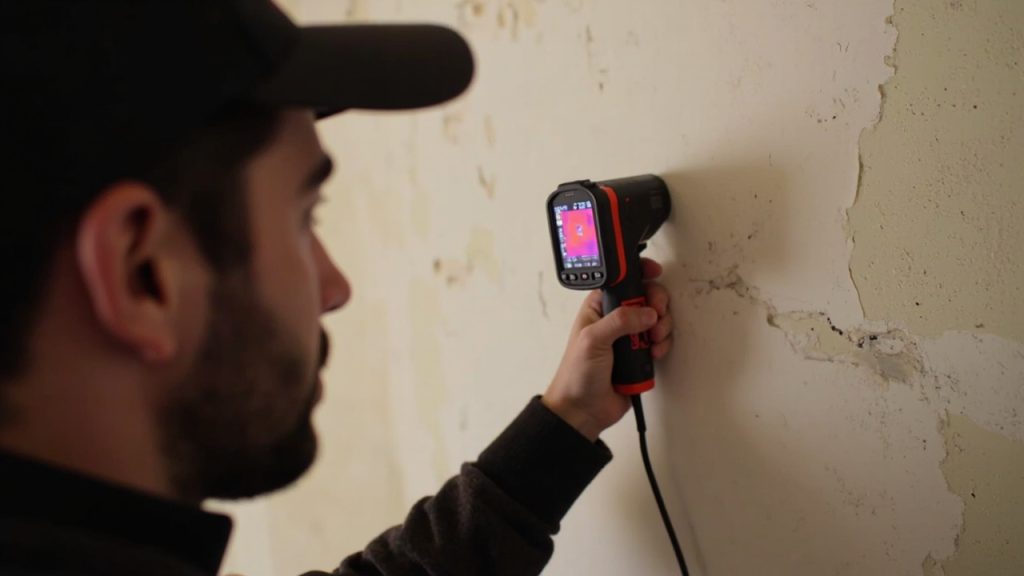 Can your university circle historic plaster walls